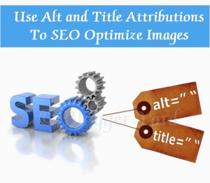 The Importance of Image Tags and SEO